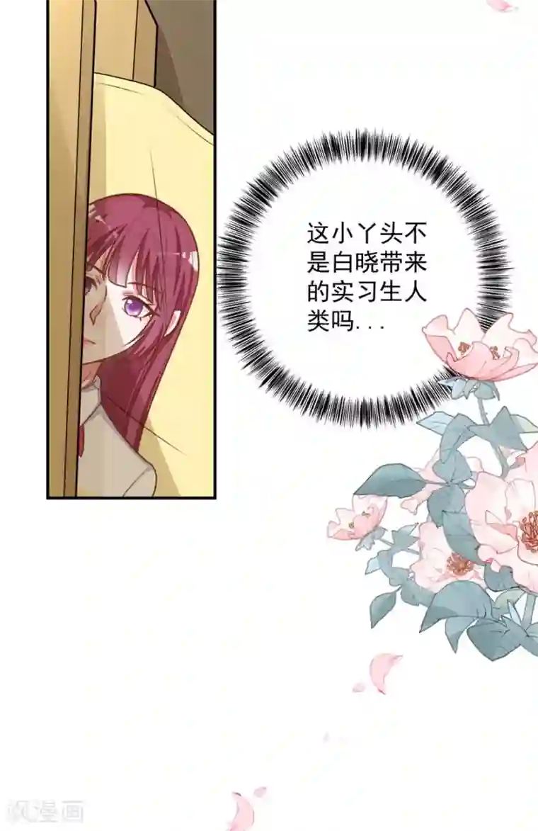 盛世华宠：我被俘虏了第18话 学长弟弟