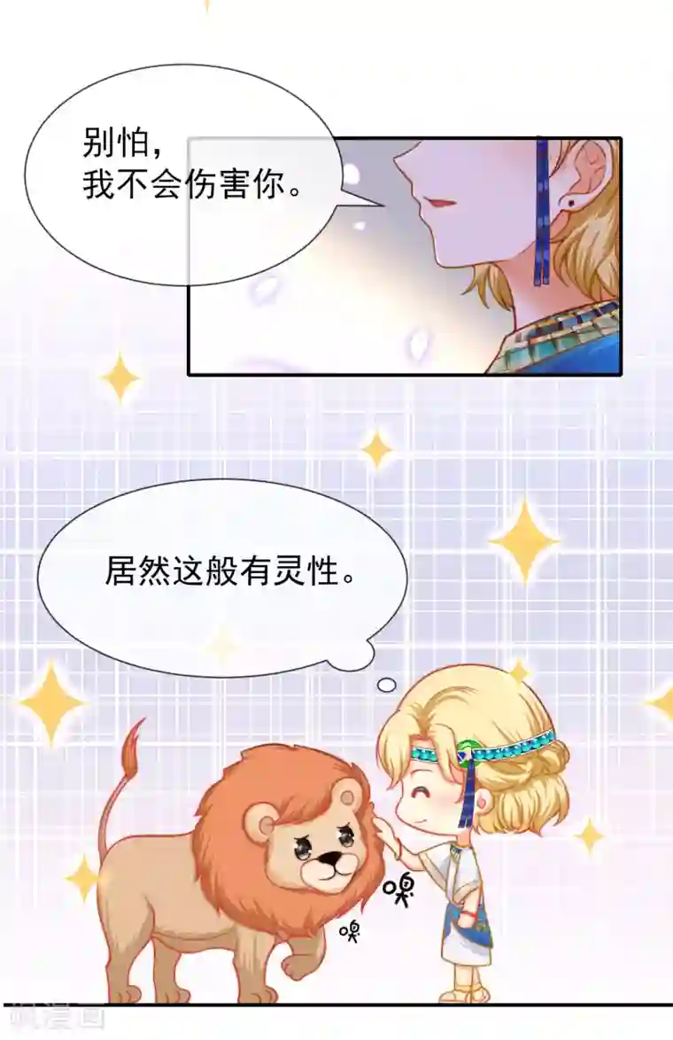 王的第一宠后第1话 有意思的女人