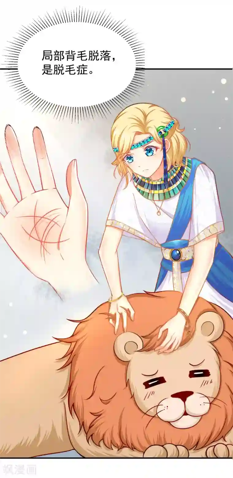 王的第一宠后第1话 有意思的女人