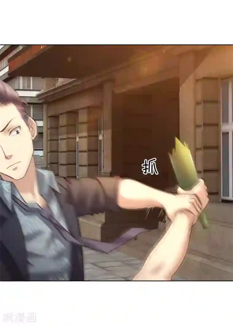 特种兵王在都市第5话 抄家伙，废了他