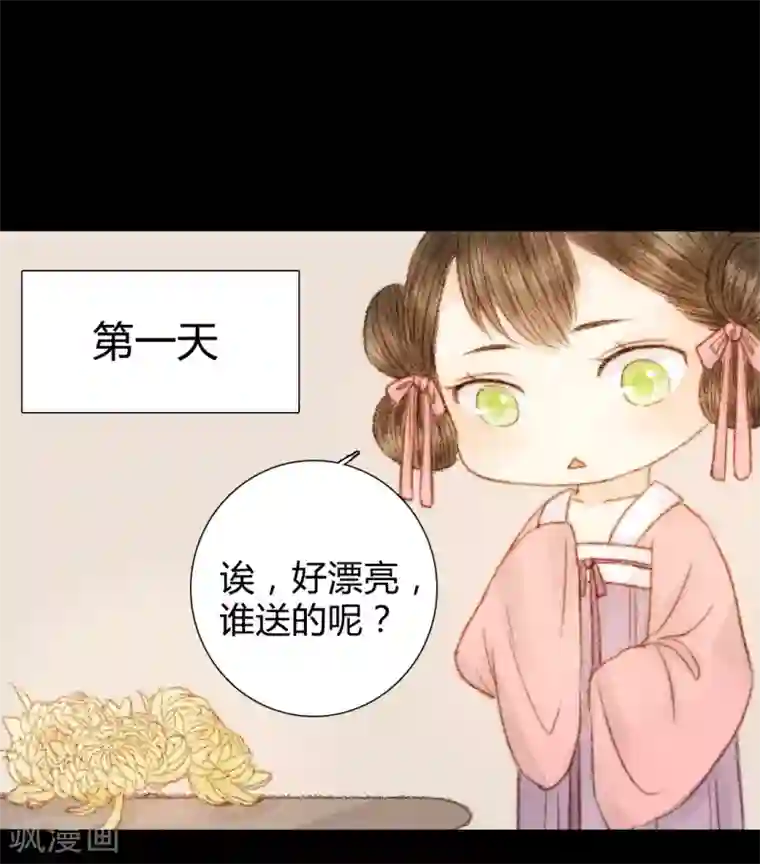 霸道王爷俏神医番外