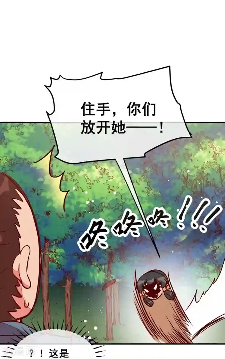 爆笑小萌妃第50话 土匪抢亲