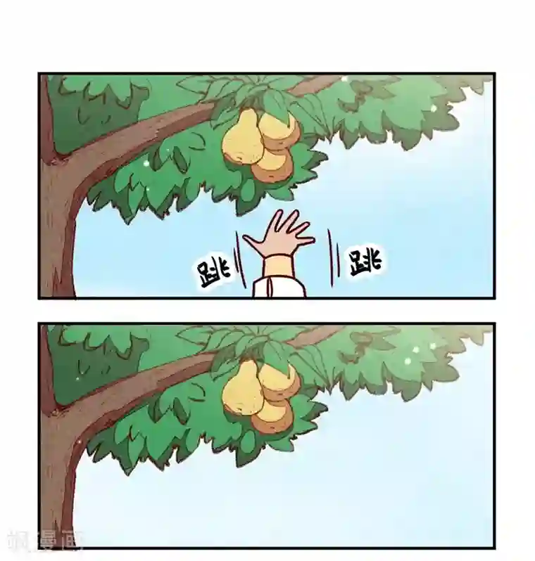 爆笑小萌妃第59话 偷梨二人组