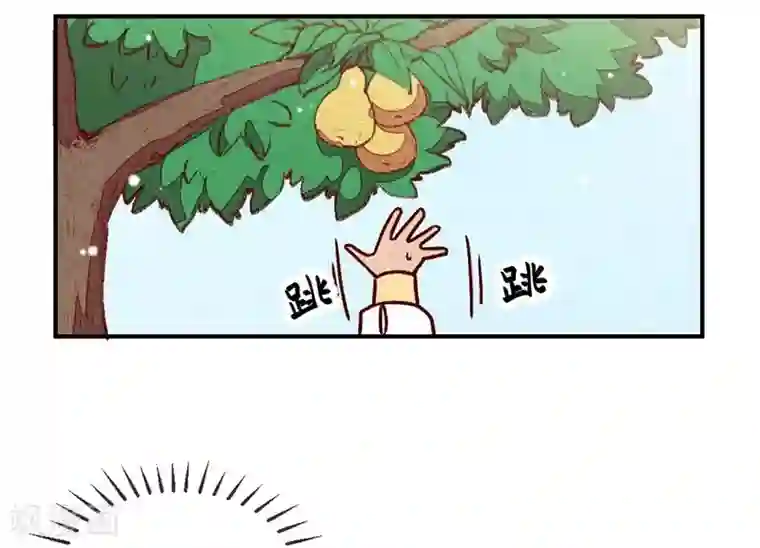 爆笑小萌妃第59话 偷梨二人组