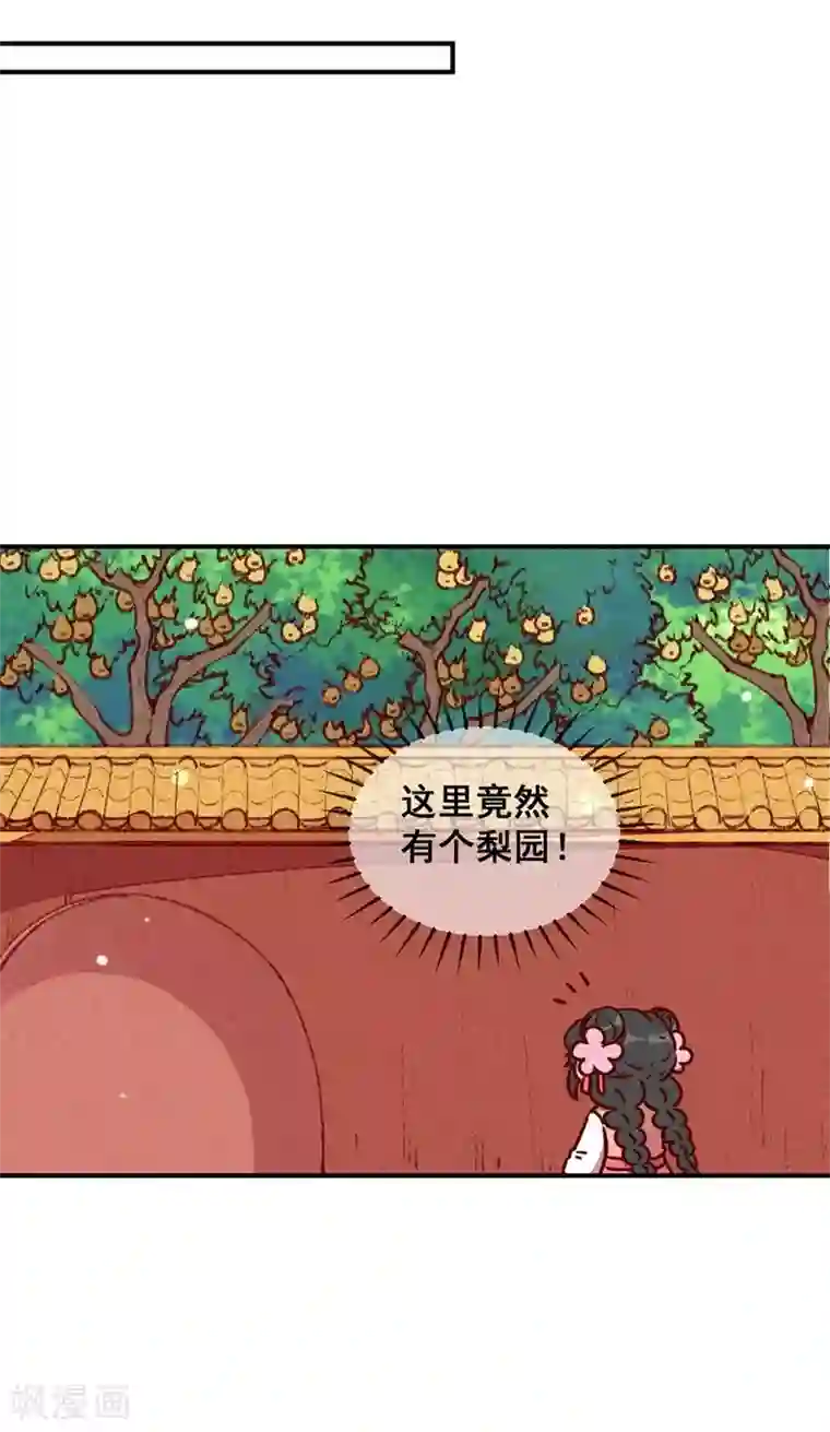 爆笑小萌妃第59话 偷梨二人组