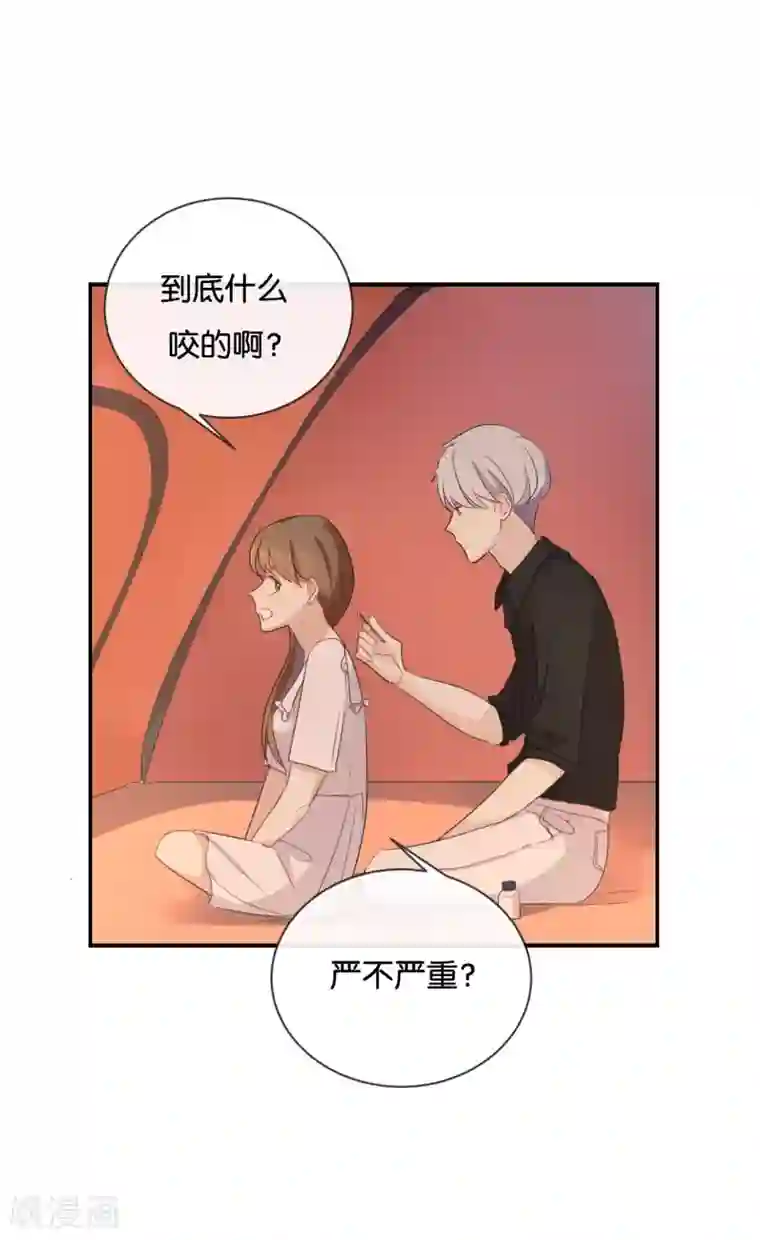 我被爱豆不可描述了第52话 到底是被什么咬了?