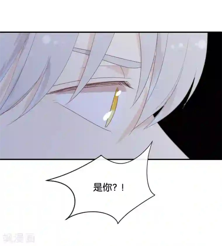 我被爱豆不可描述了第120话 这两人与我何干?