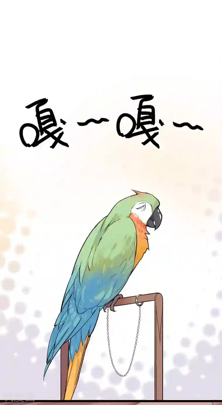 血宿契约第5话 蛛丝马迹