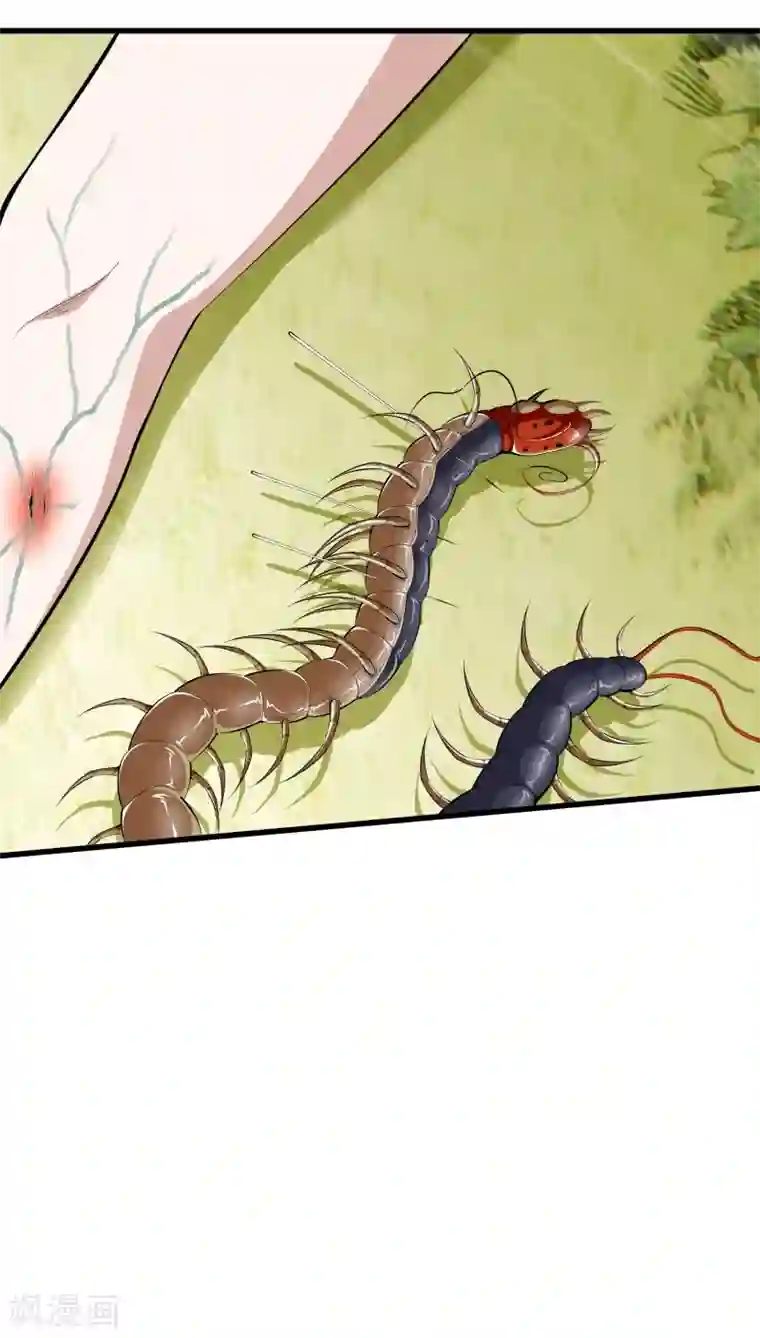 都市至尊第84话 谁也别跟我抢