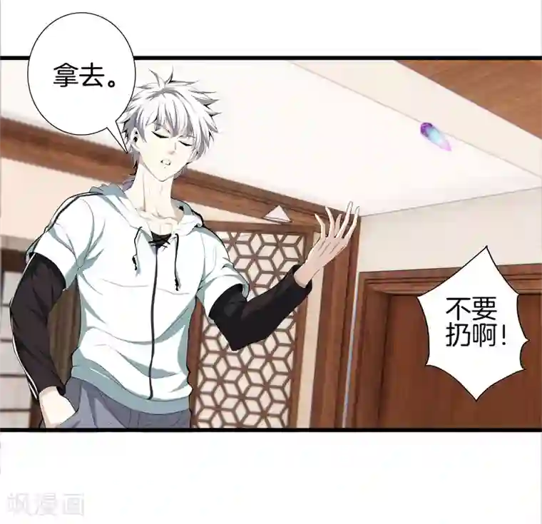 都市至尊第85话 无价之宝