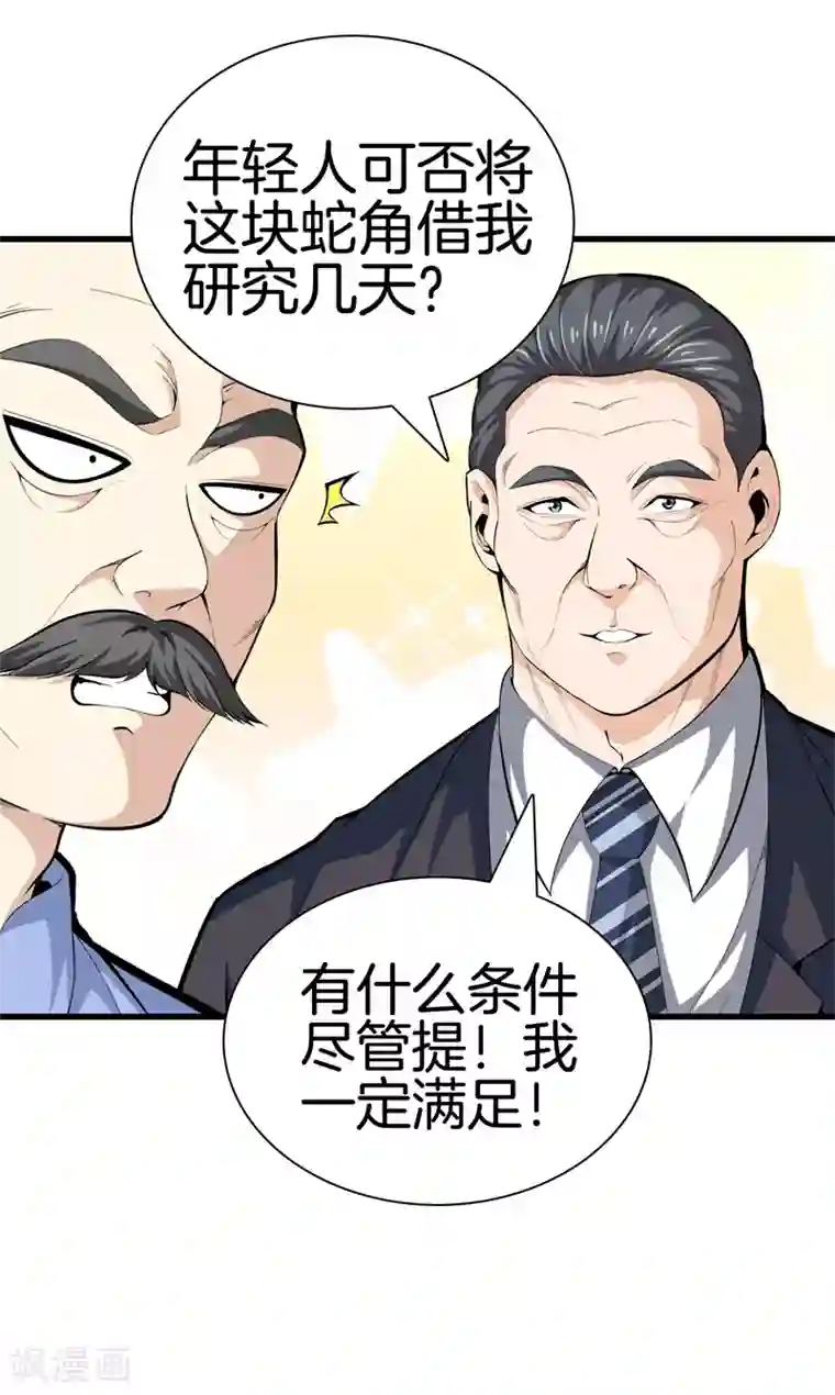 都市至尊第85话 无价之宝