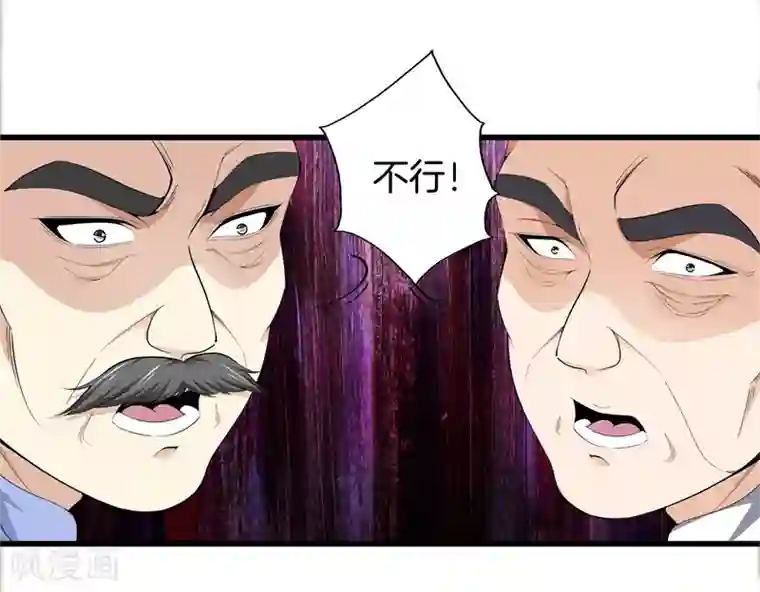 都市至尊第85话 无价之宝