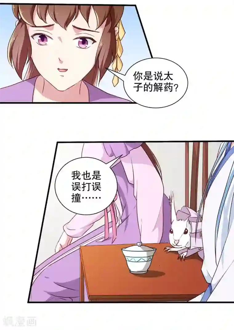 天才小毒妃之芸汐传奇第196话 毒草库
