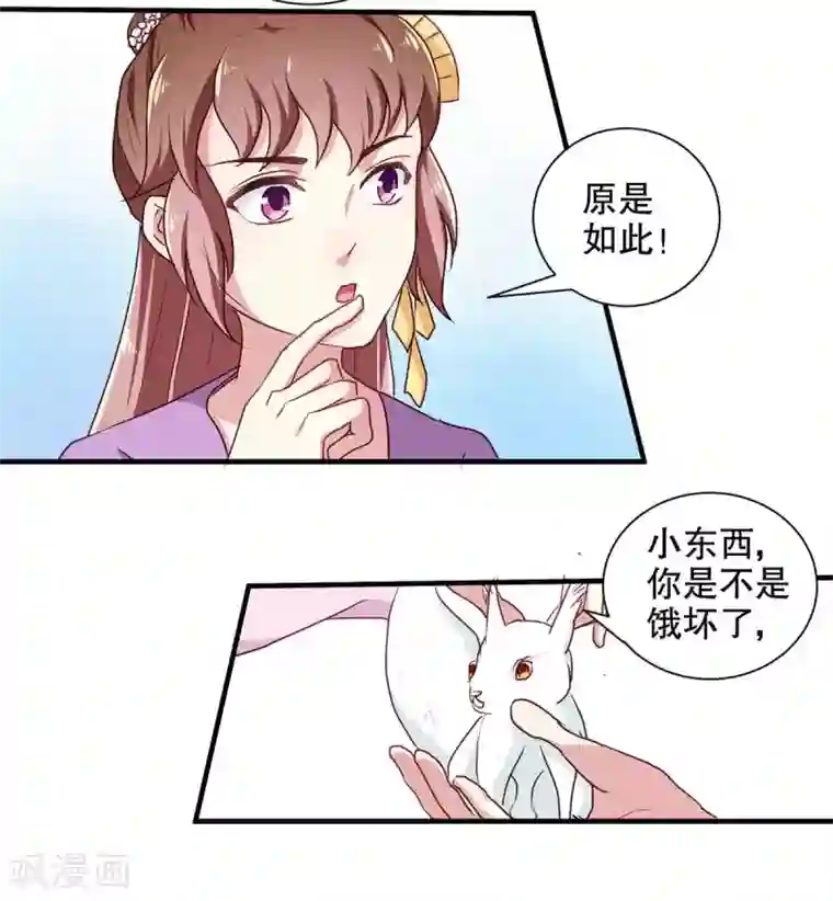 天才小毒妃之芸汐传奇第196话 毒草库