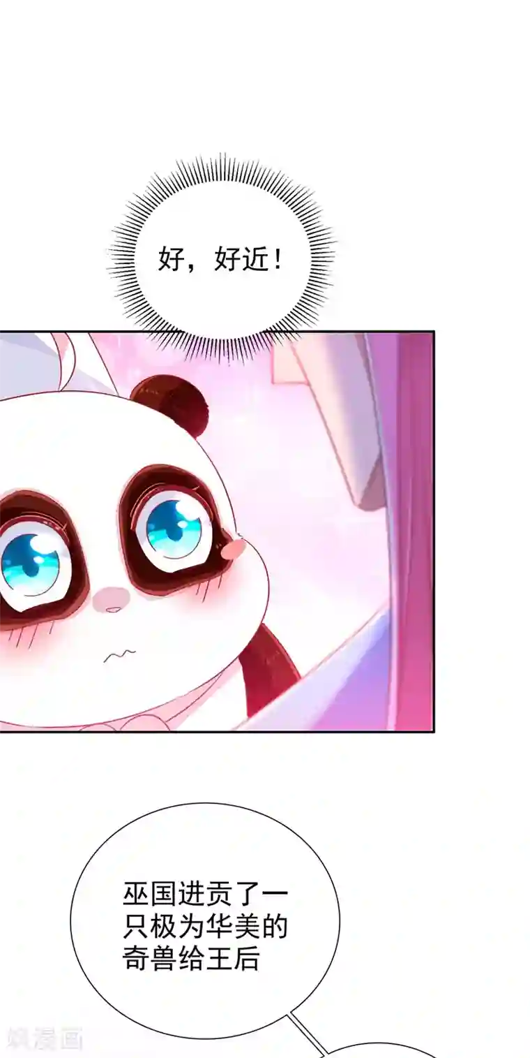 萌妃来袭：天降熊猫求抱抱第36话 一只毒舌的孔雀