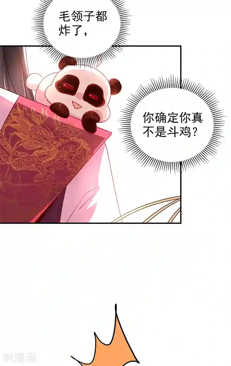 萌妃来袭：天降熊猫求抱抱第37话 会八国语言的网红孔雀