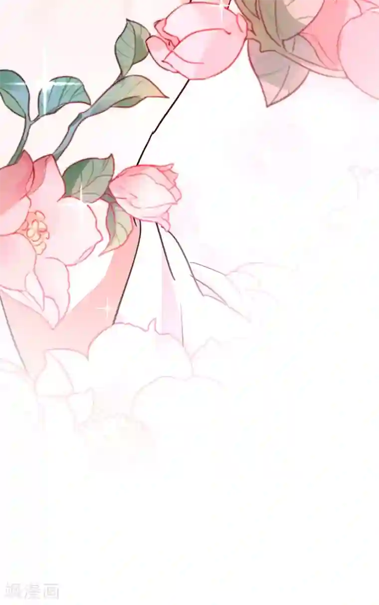 萌妃来袭：天降熊猫求抱抱第37话 会八国语言的网红孔雀