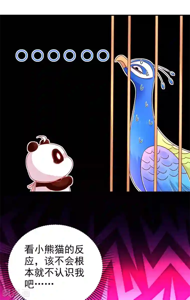 萌妃来袭：天降熊猫求抱抱第39话 七天包退