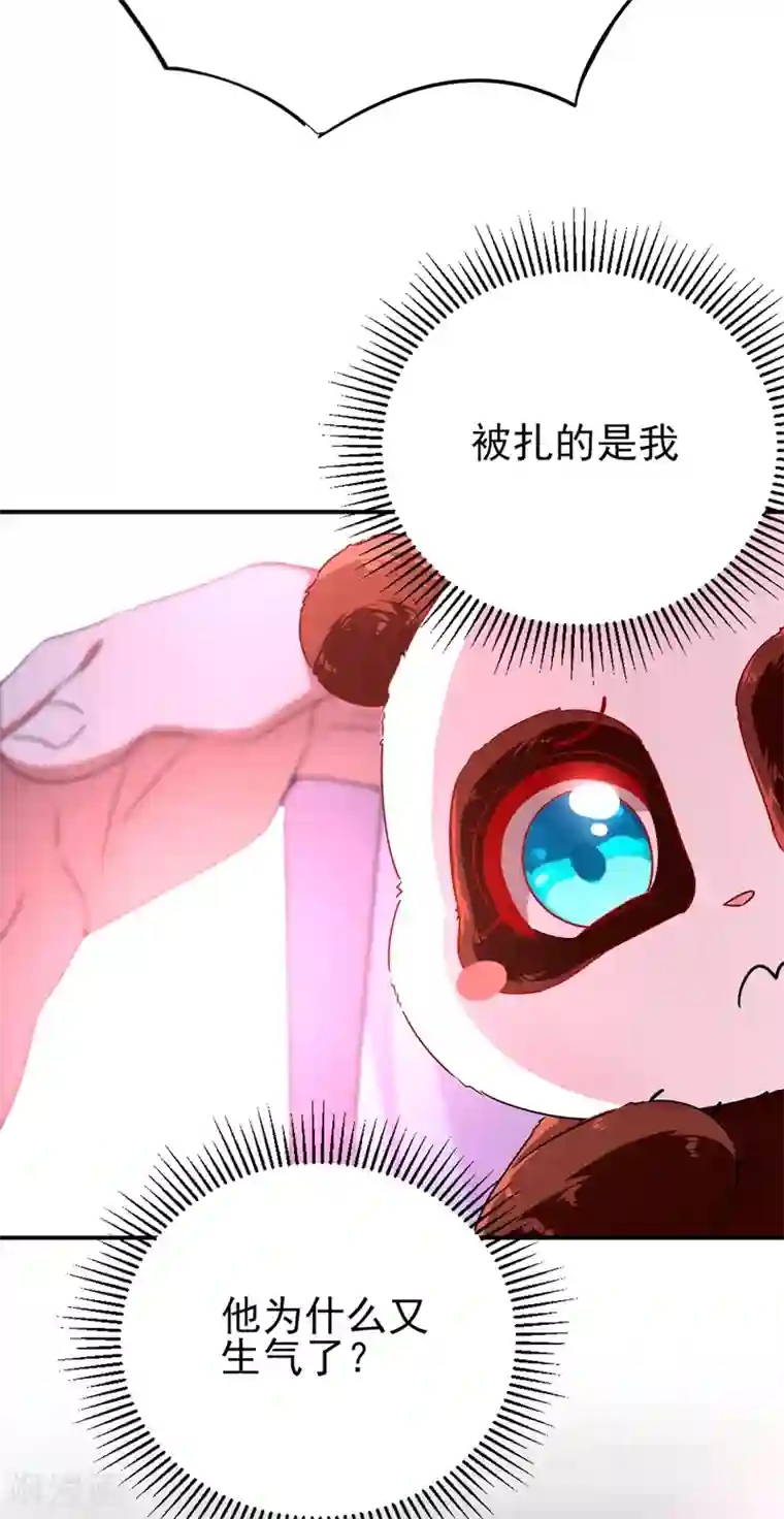 萌妃来袭：天降熊猫求抱抱第40话 男人心海底针