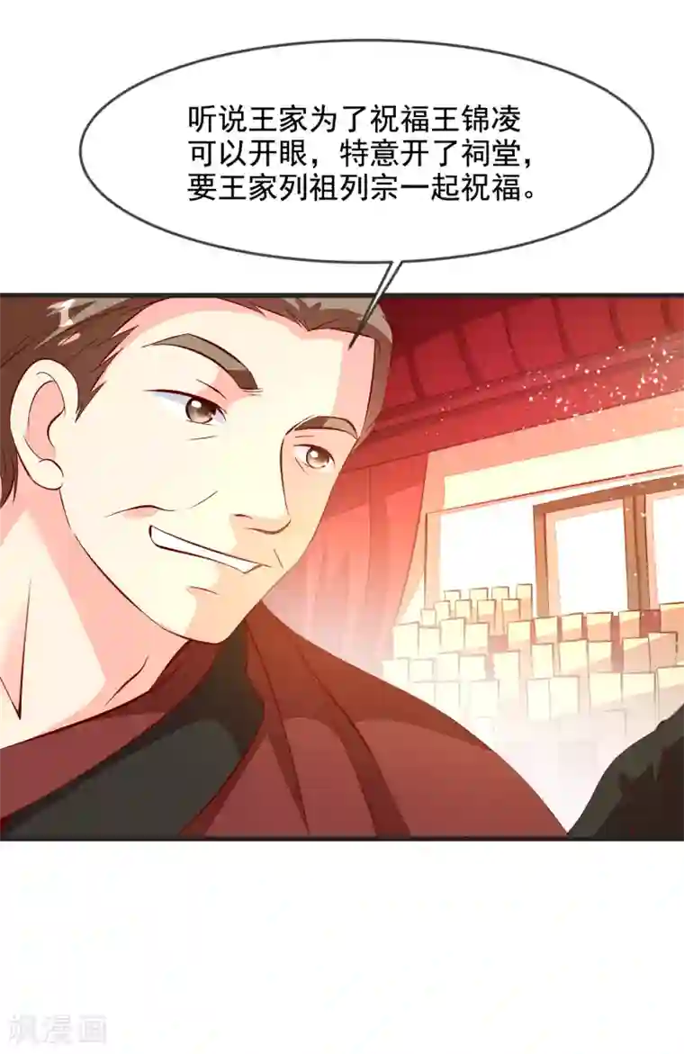 帝凰之神医弃妃第34话 盛大登场