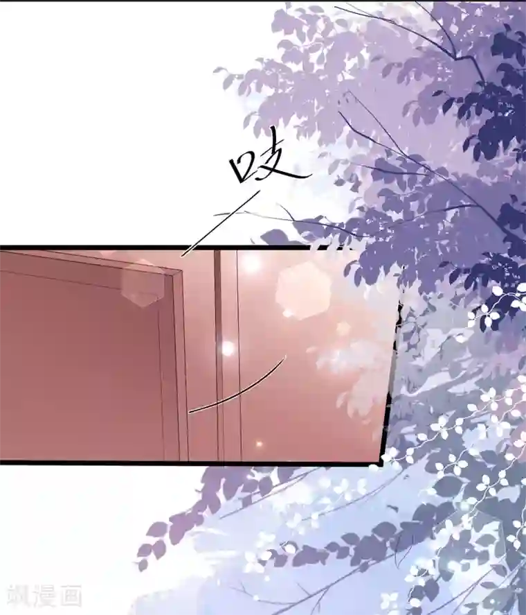 狐妃,别惹我第42话 盛装入宫