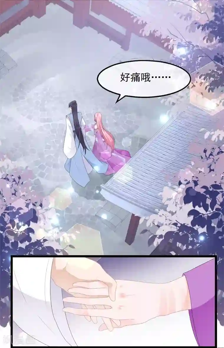 狐妃,别惹我第42话 盛装入宫