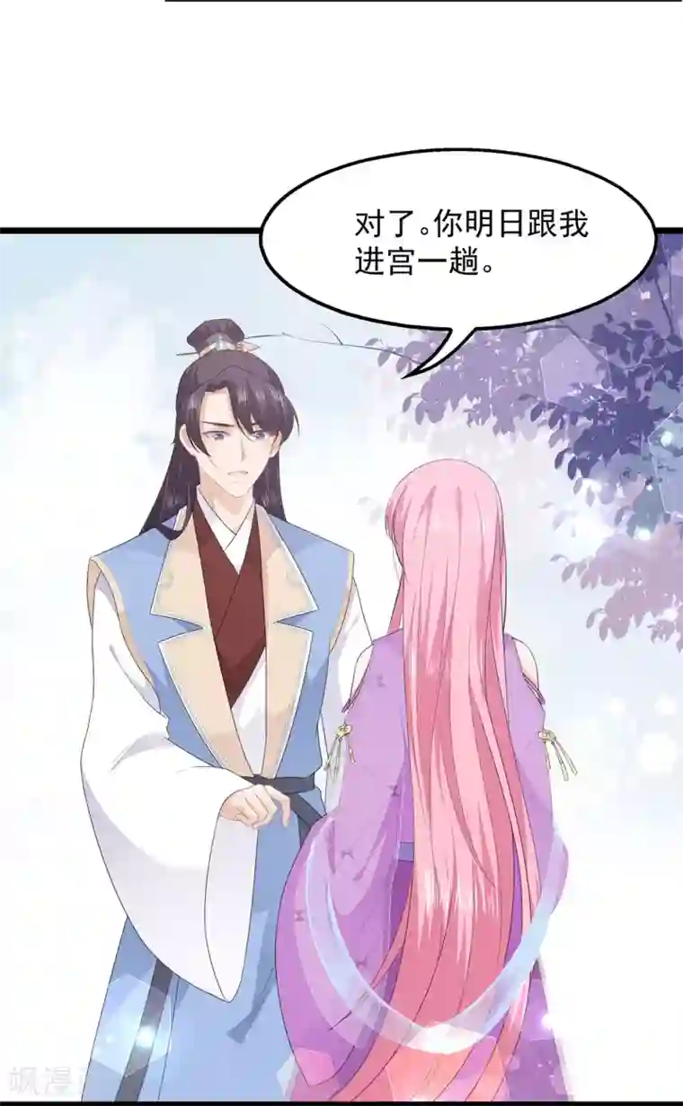 狐妃,别惹我第42话 盛装入宫