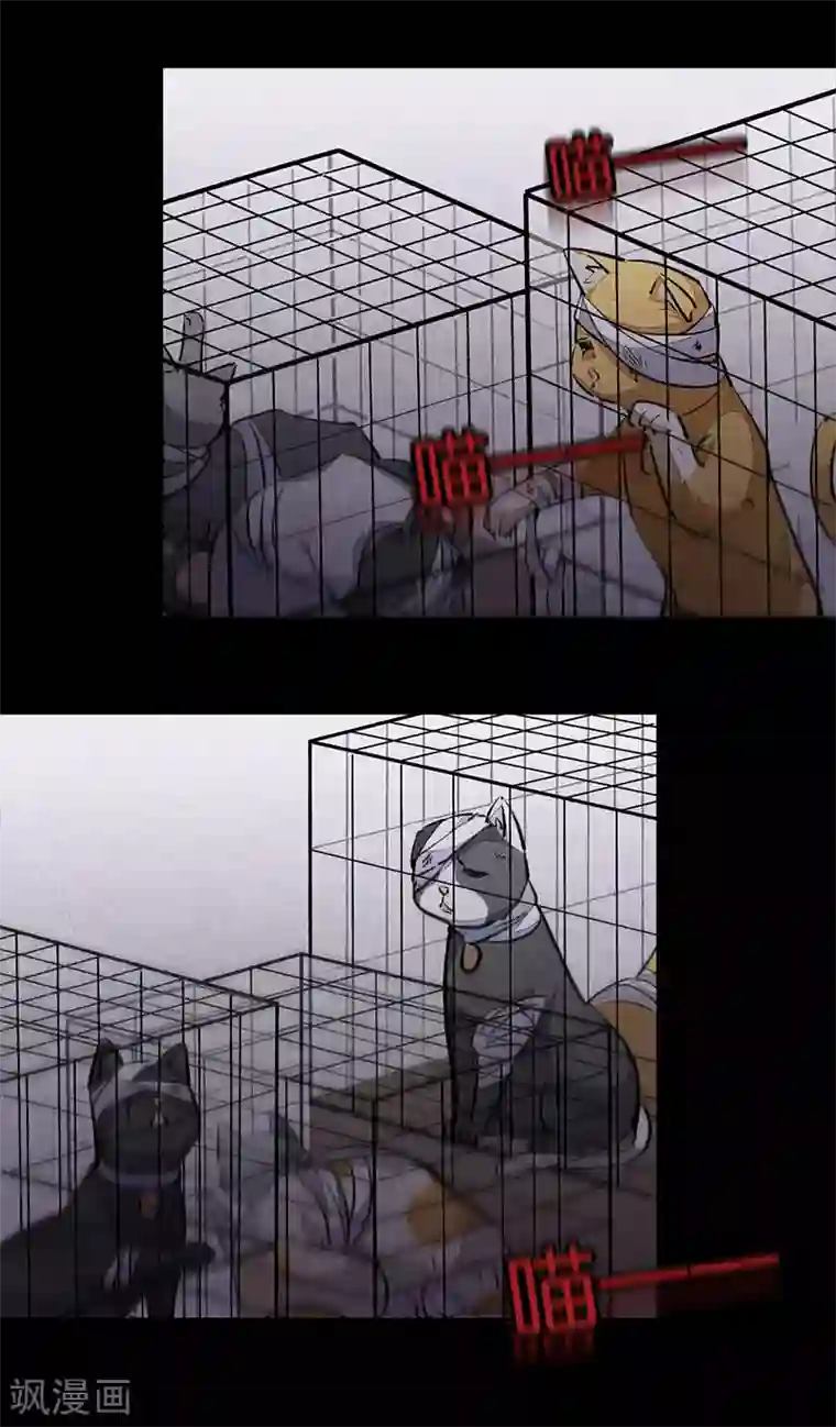 百诡谈第11话2 TA 回来了