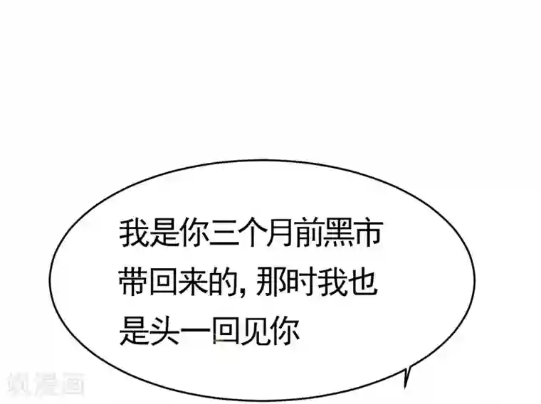 纯爱指令第1话