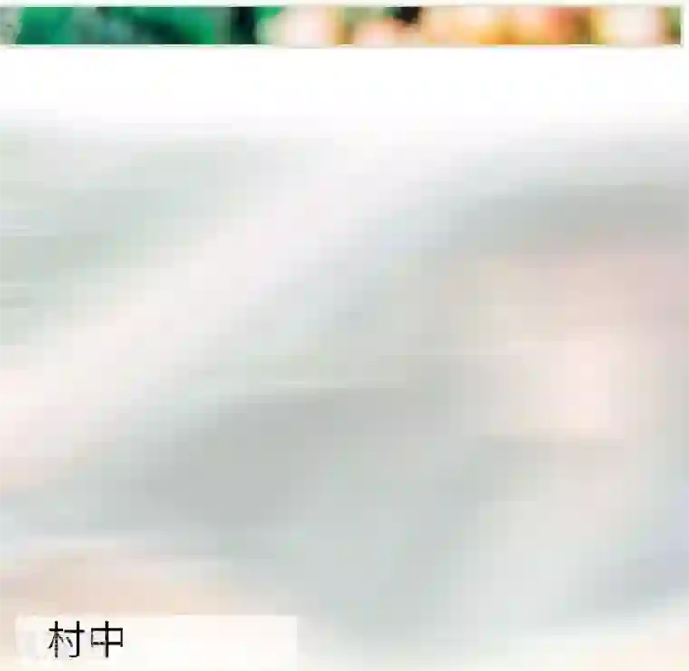 校草的专属丫头第1话