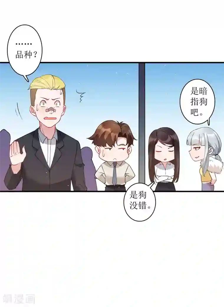 麻辣女老板第75话 今天准备了200亿资金