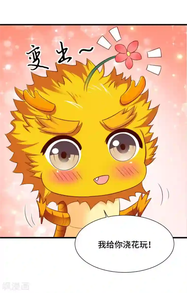 女王的驯龙指南第71话 设局