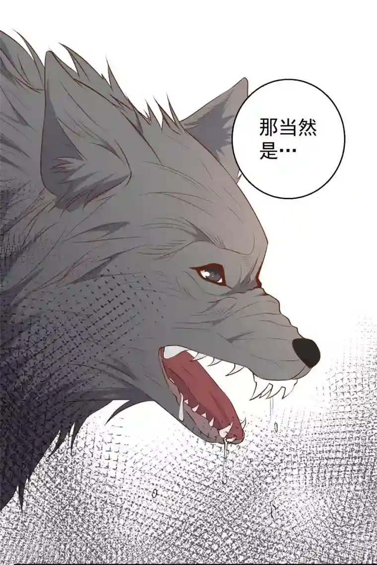 神级渔夫第46话 渔夫套路深