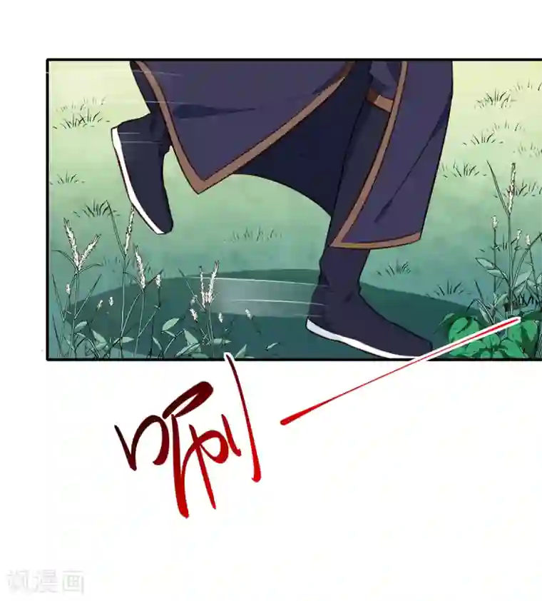 天才小毒妃之芸汐传奇第197话 又见面了