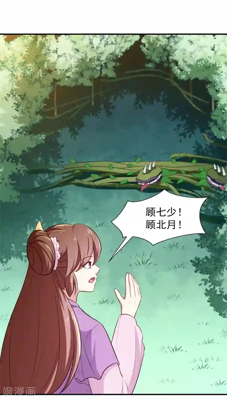 天才小毒妃之芸汐传奇第197话 又见面了