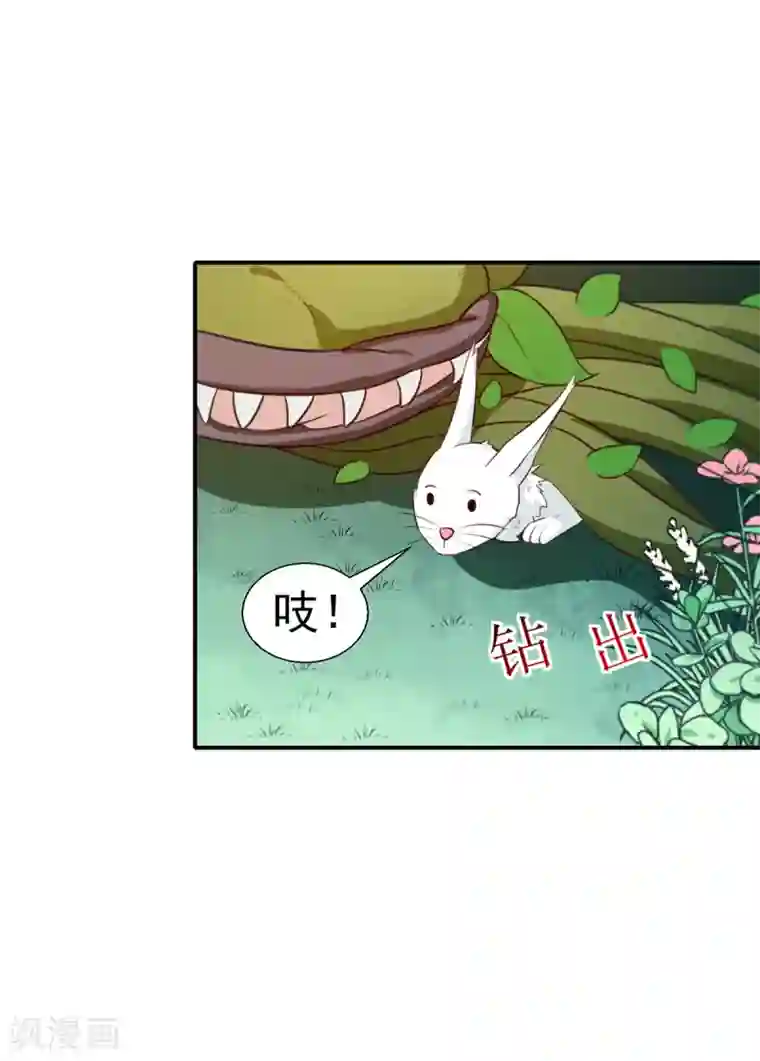 天才小毒妃之芸汐传奇第197话 又见面了