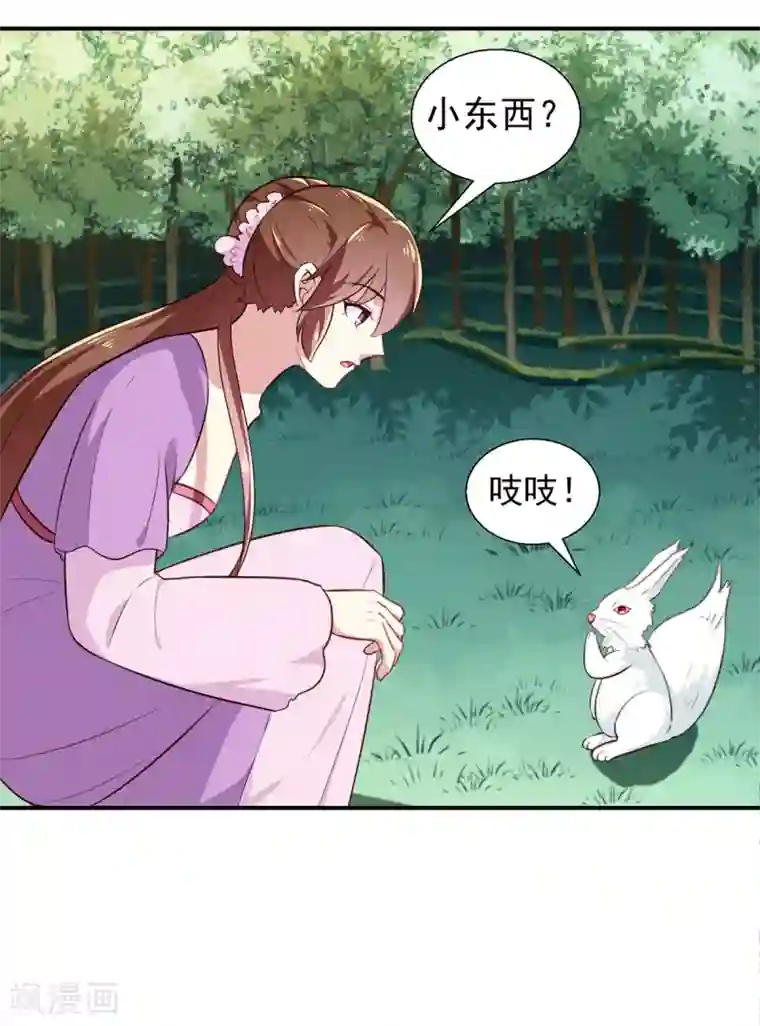 天才小毒妃之芸汐传奇第197话 又见面了