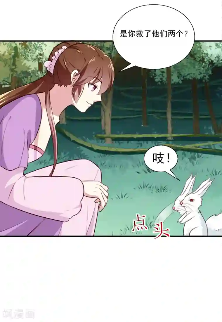 天才小毒妃之芸汐传奇第197话 又见面了