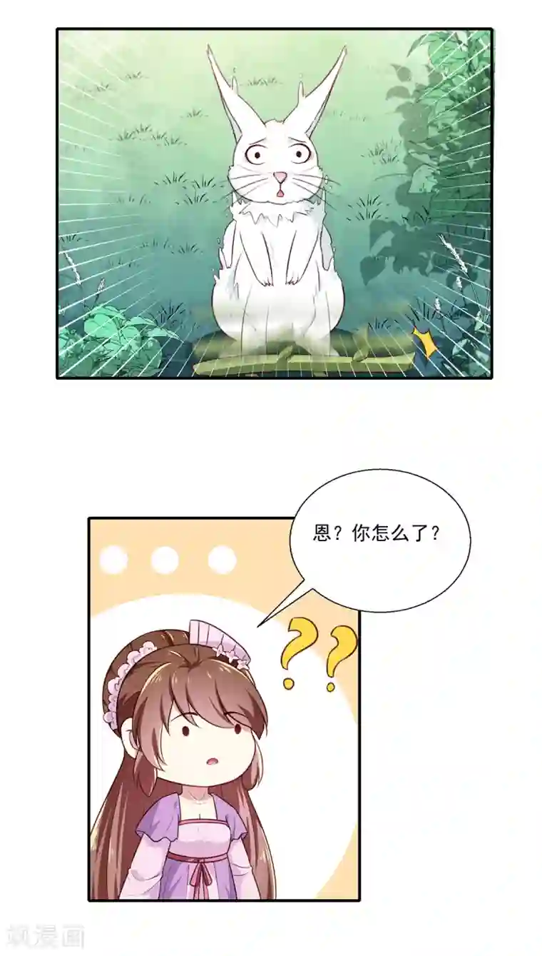 天才小毒妃之芸汐传奇第197话 又见面了