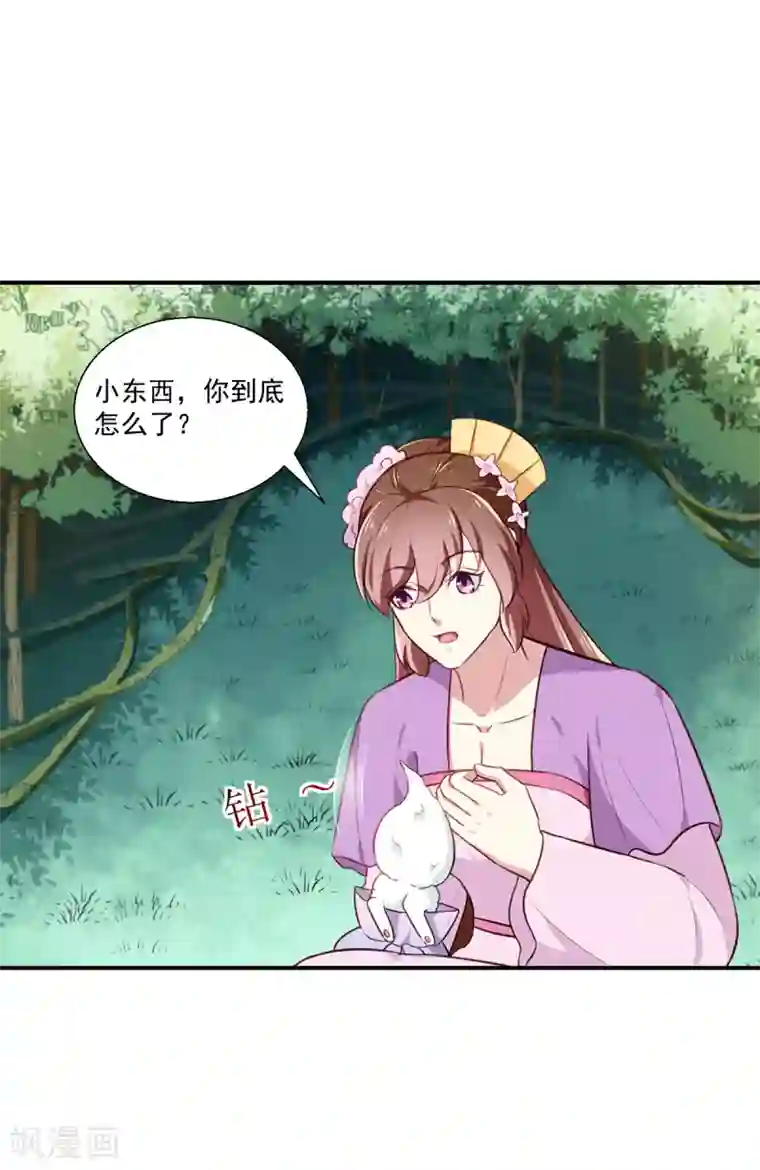 天才小毒妃之芸汐传奇第197话 又见面了