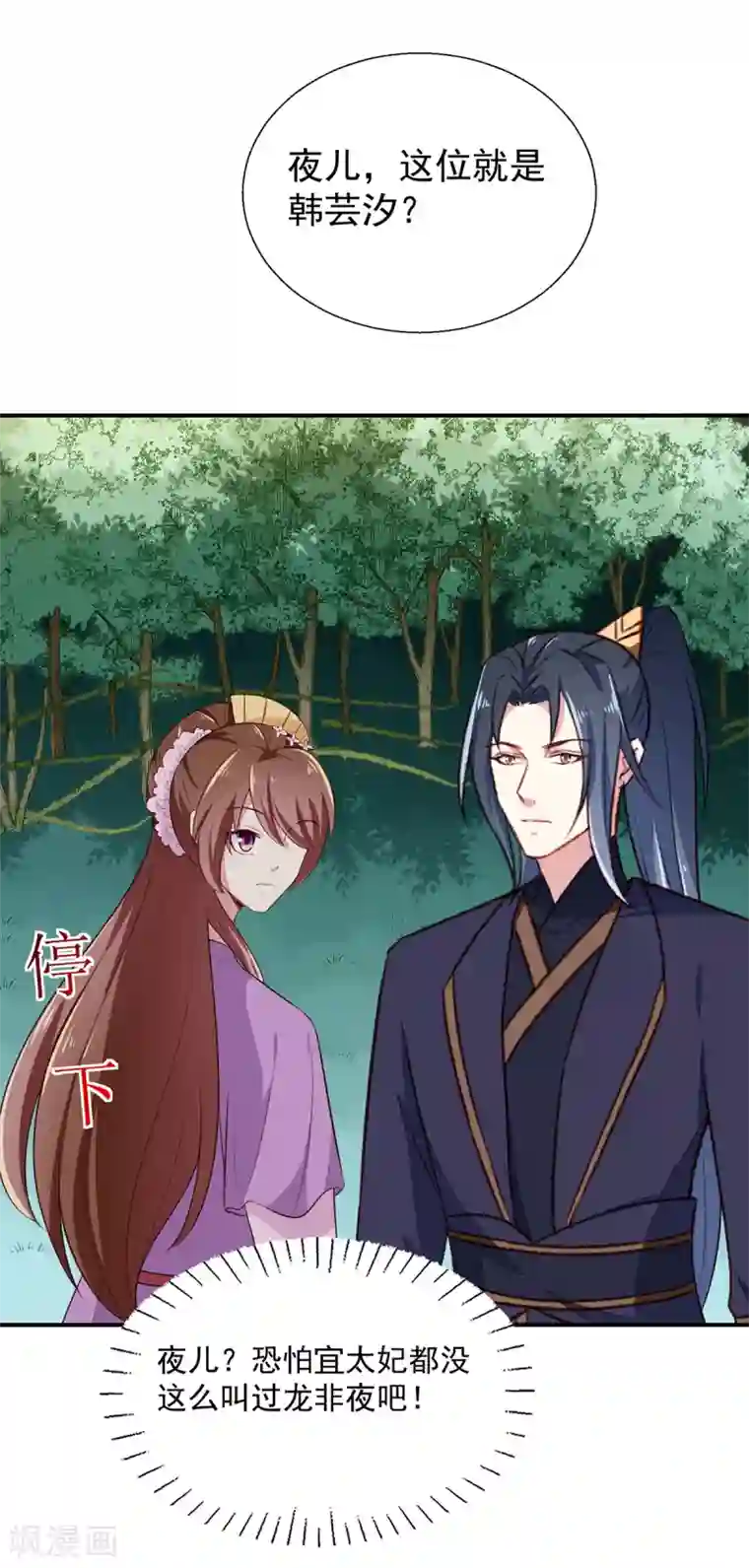 天才小毒妃之芸汐传奇第197话 又见面了