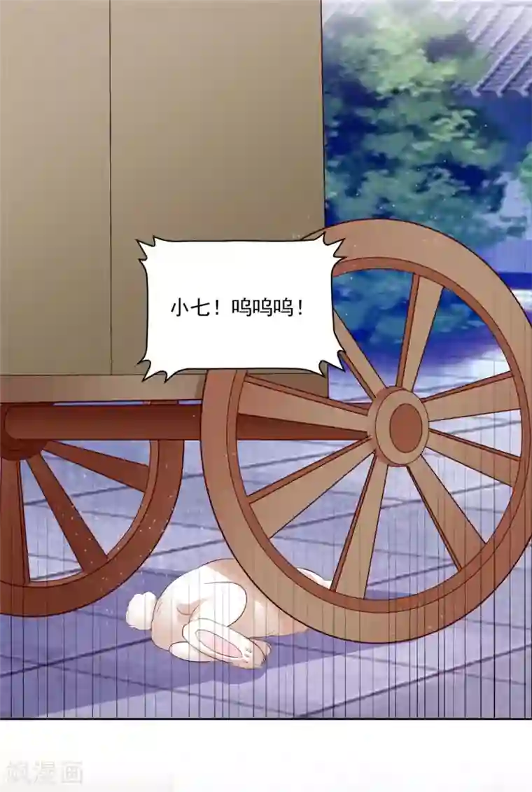 六宫风华第105话 我的小七死了！