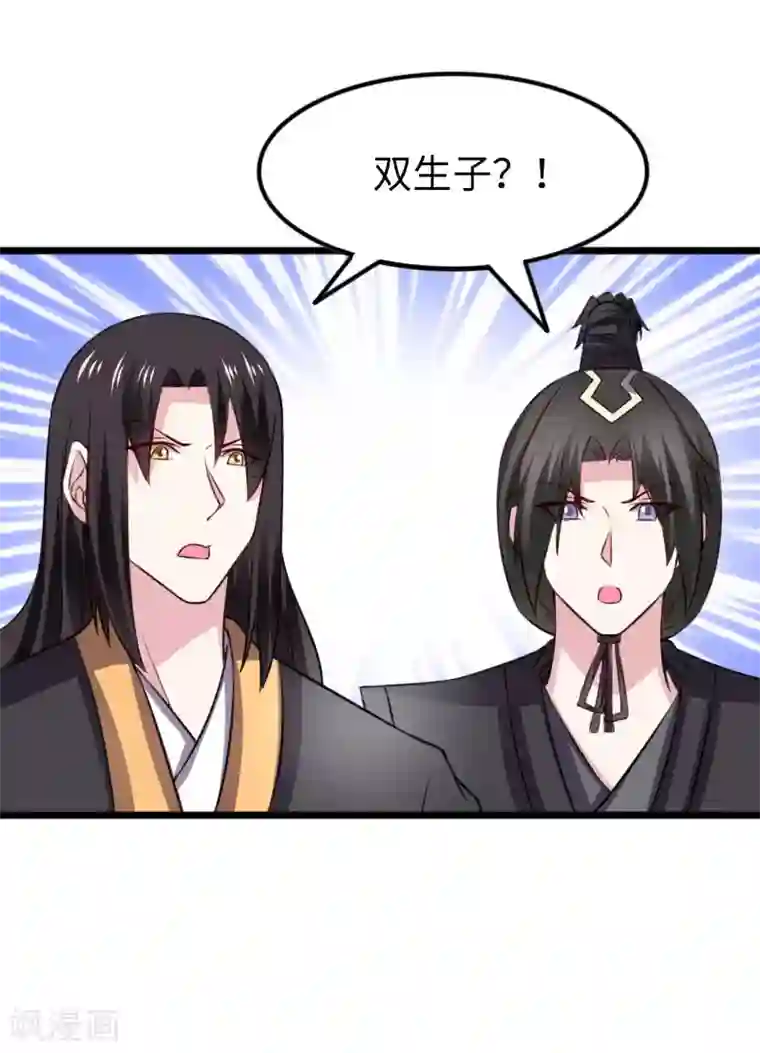 宠狐成妃第295话 双子降临