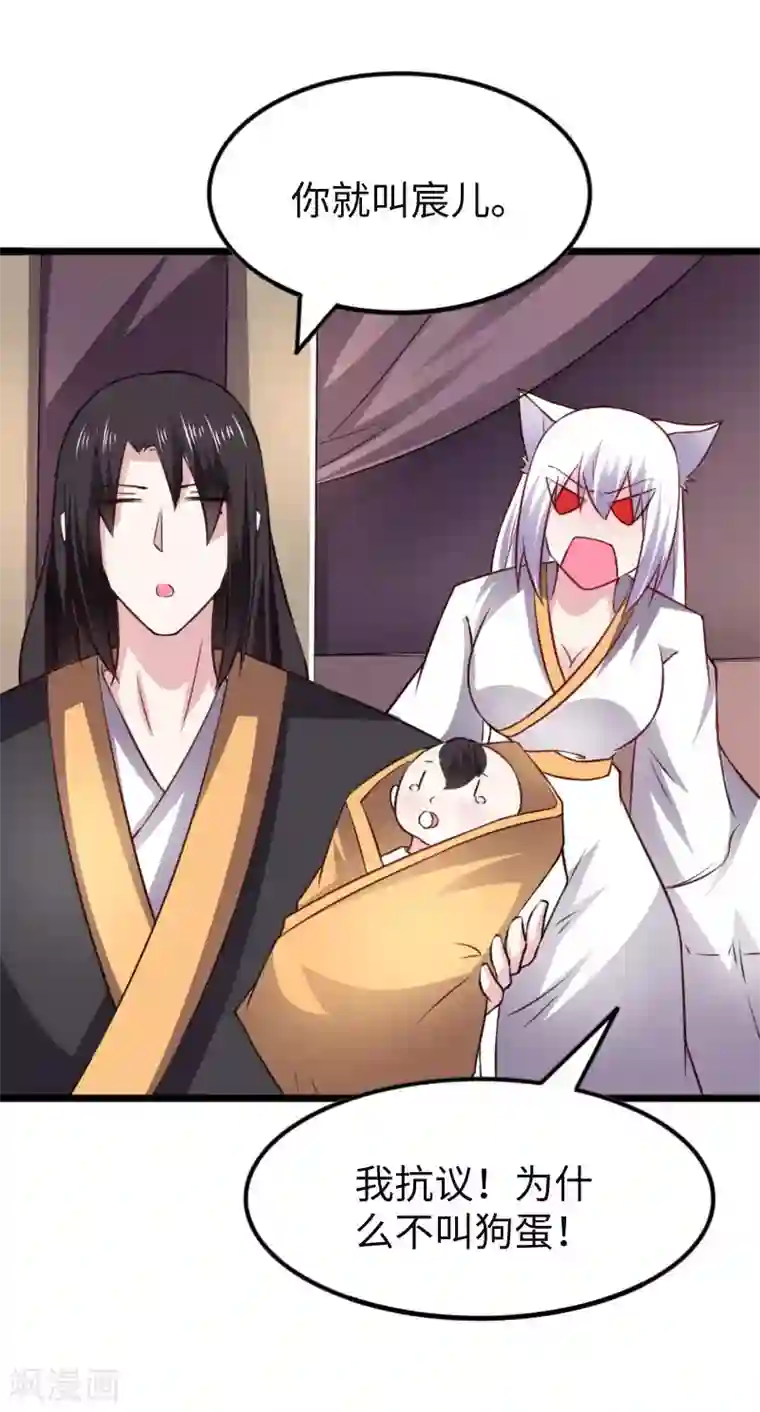 宠狐成妃第295话 双子降临