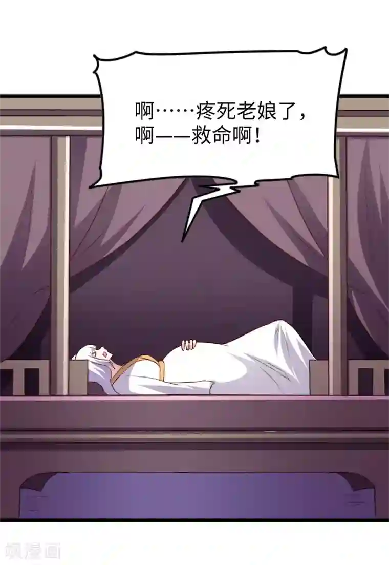 宠狐成妃第295话 双子降临