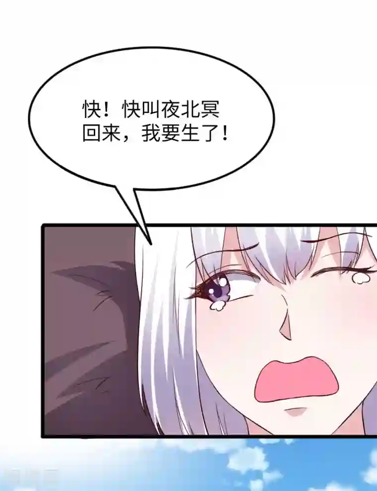 宠狐成妃第295话 双子降临