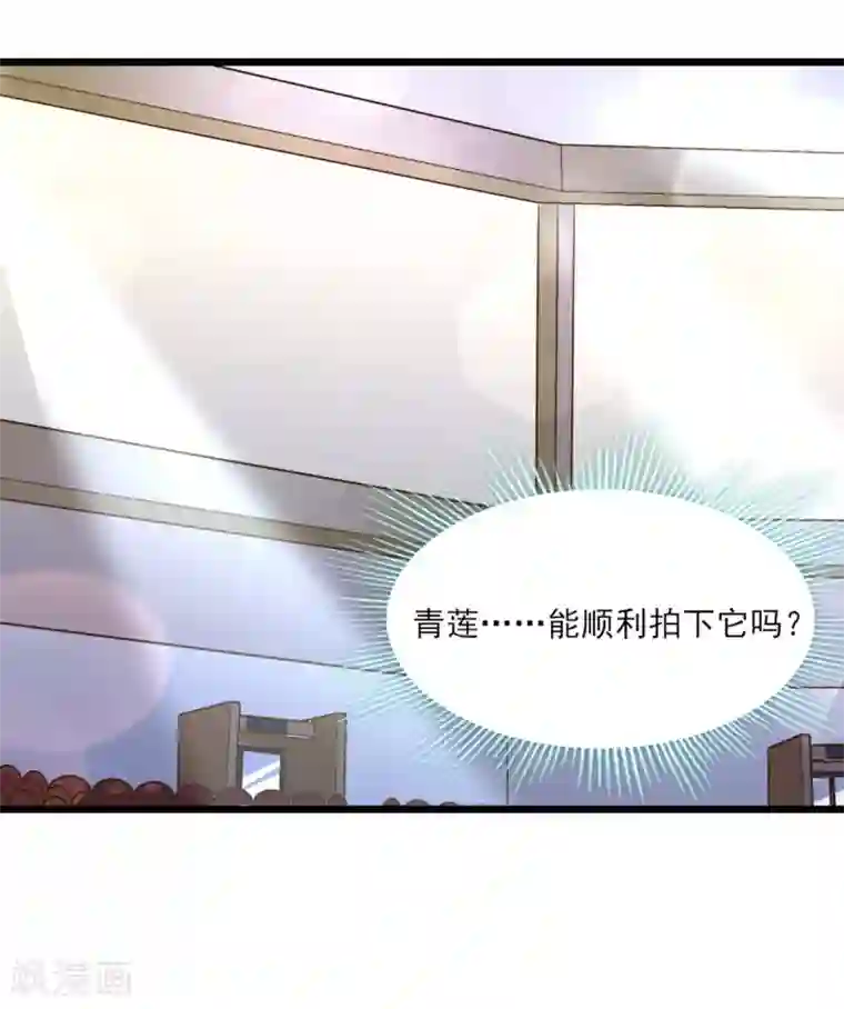 梦间集天鹅座第31话 激烈竞拍