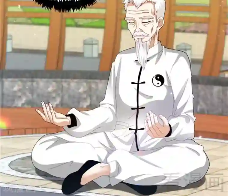 都市绝品仙帝第21话 再遇老者