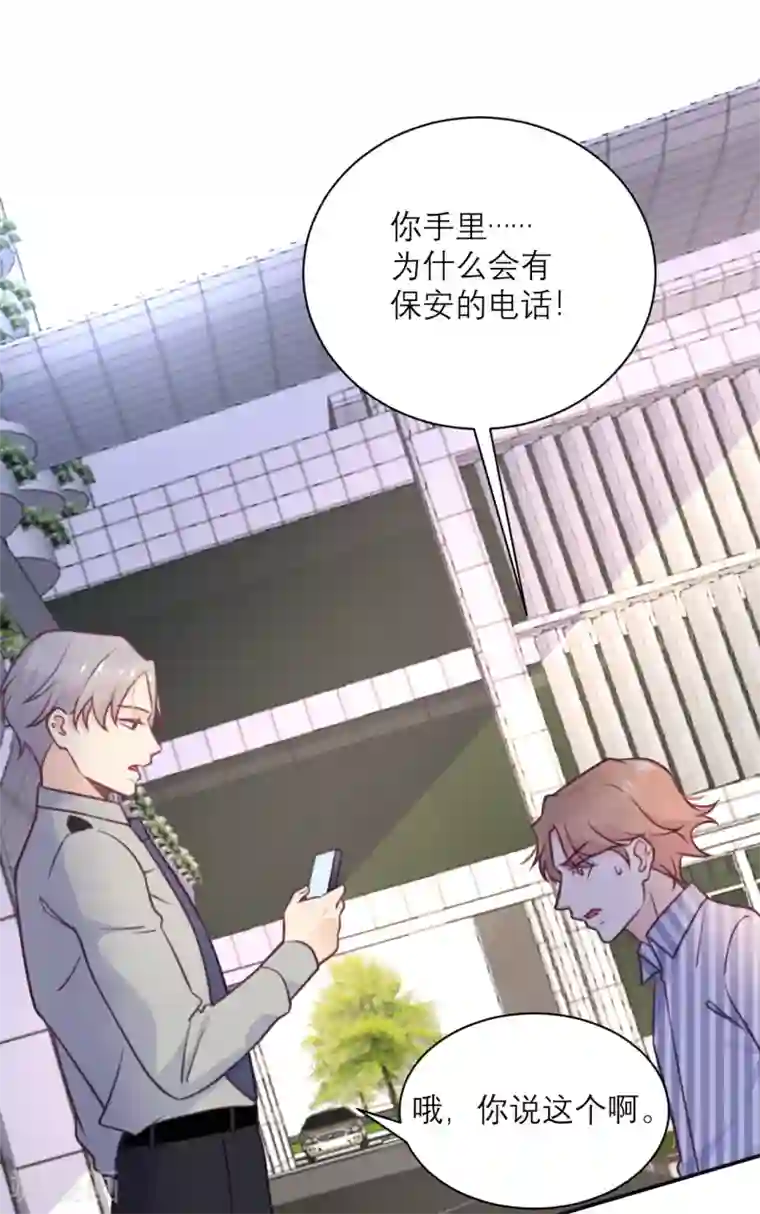 向黑化总裁献上沙雕第39话 各自的选择