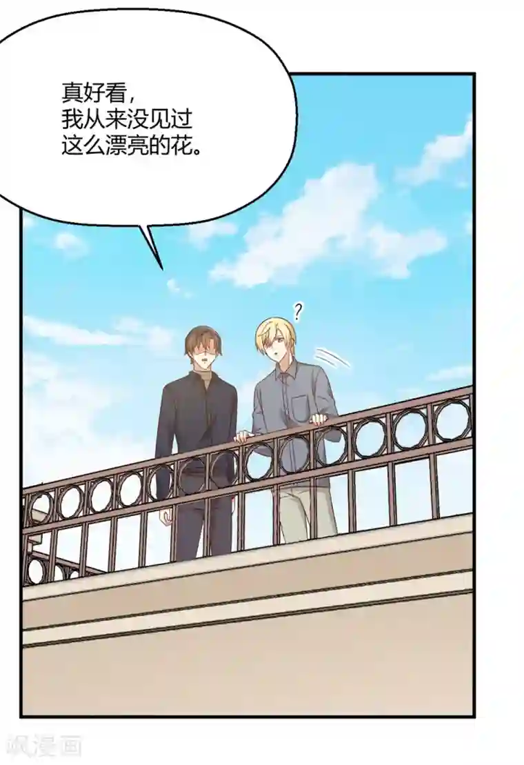 从0到1的重生第196话 非礼勿视